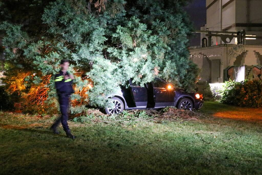 Automobilist vliegt uit de bocht en belandt in bosjes