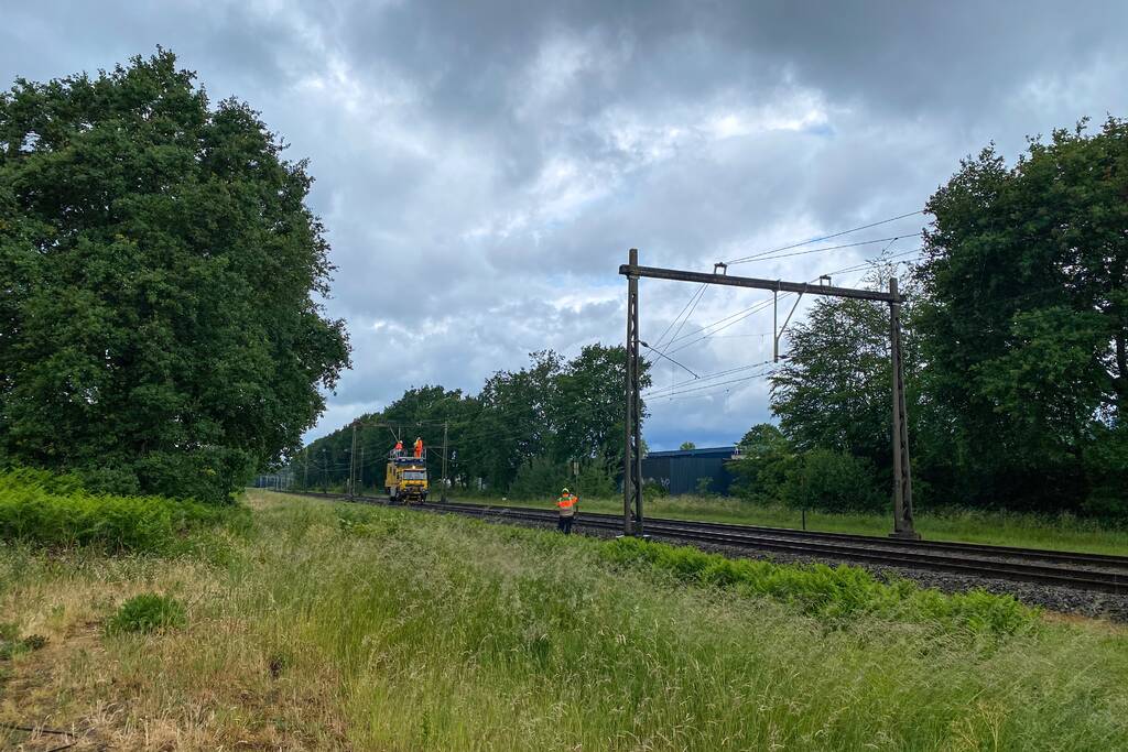 Geen treinverkeer door ooiervaarsnest in bovenleiding