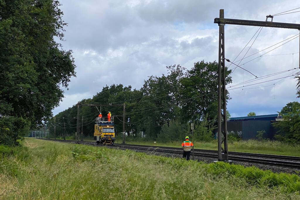 Geen treinverkeer door ooiervaarsnest in bovenleiding