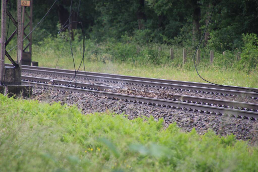 Geen treinverkeer door ooiervaarsnest in bovenleiding