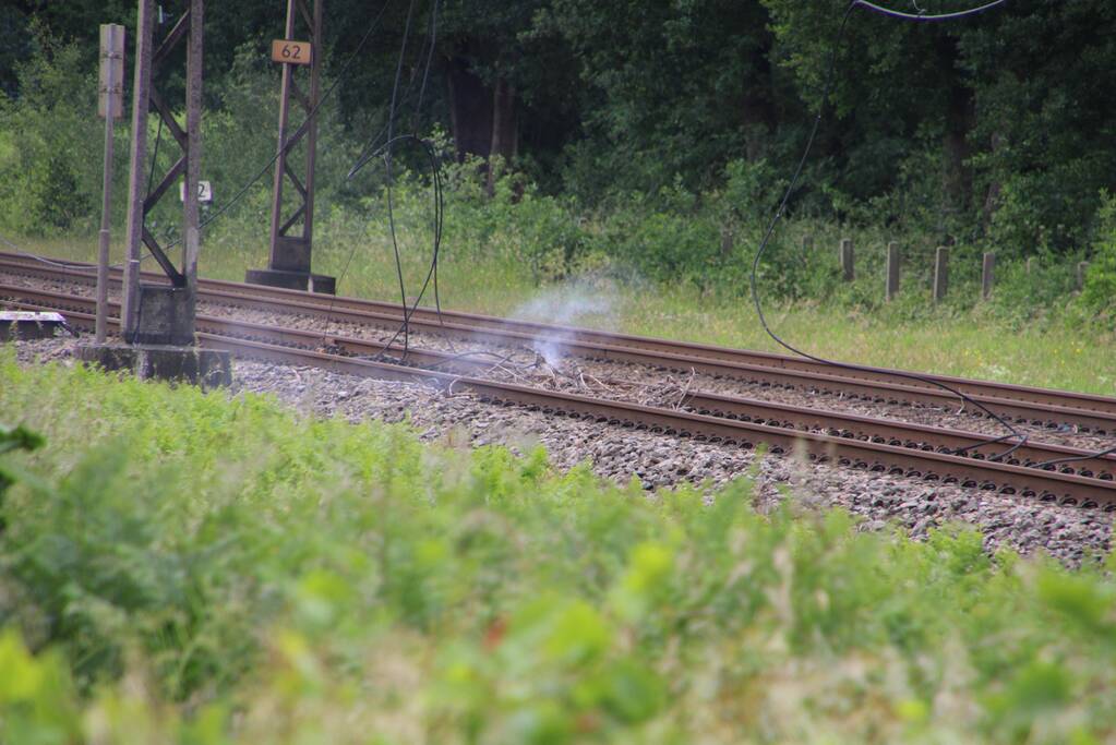 Geen treinverkeer door ooiervaarsnest in bovenleiding