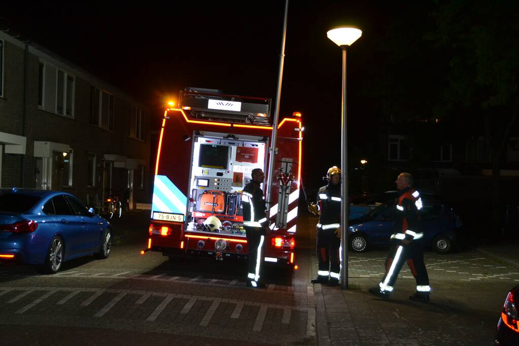 Brandweer haalt kat van het dak