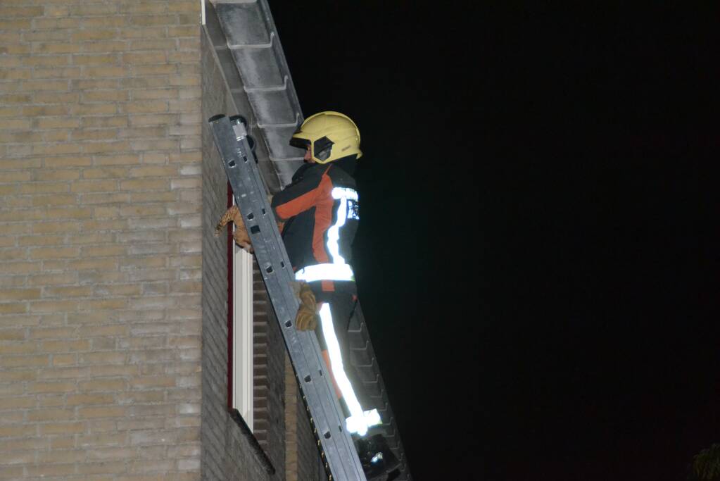 Brandweer haalt kat van het dak