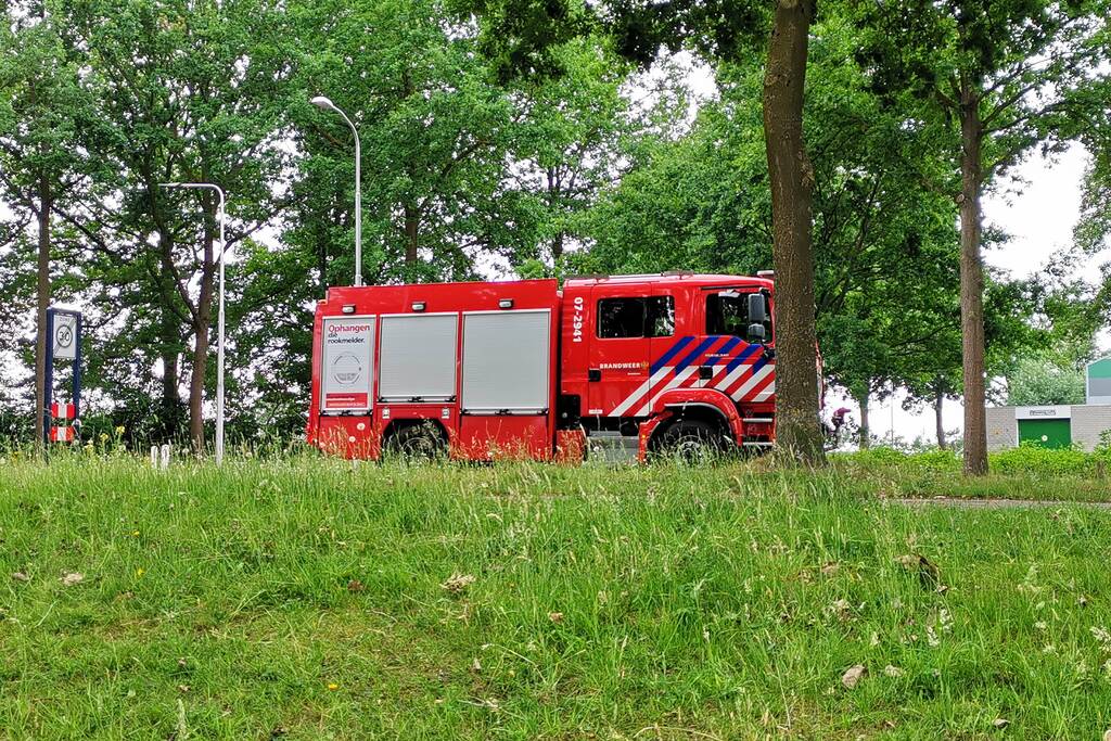 Aalscholver gaat met vishengel vandoor