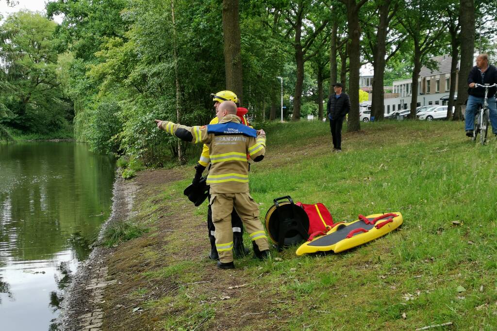 Aalscholver gaat met vishengel vandoor