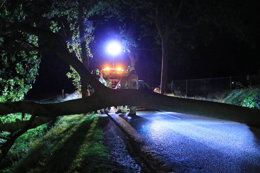 Harde wind blaast flinke boom om