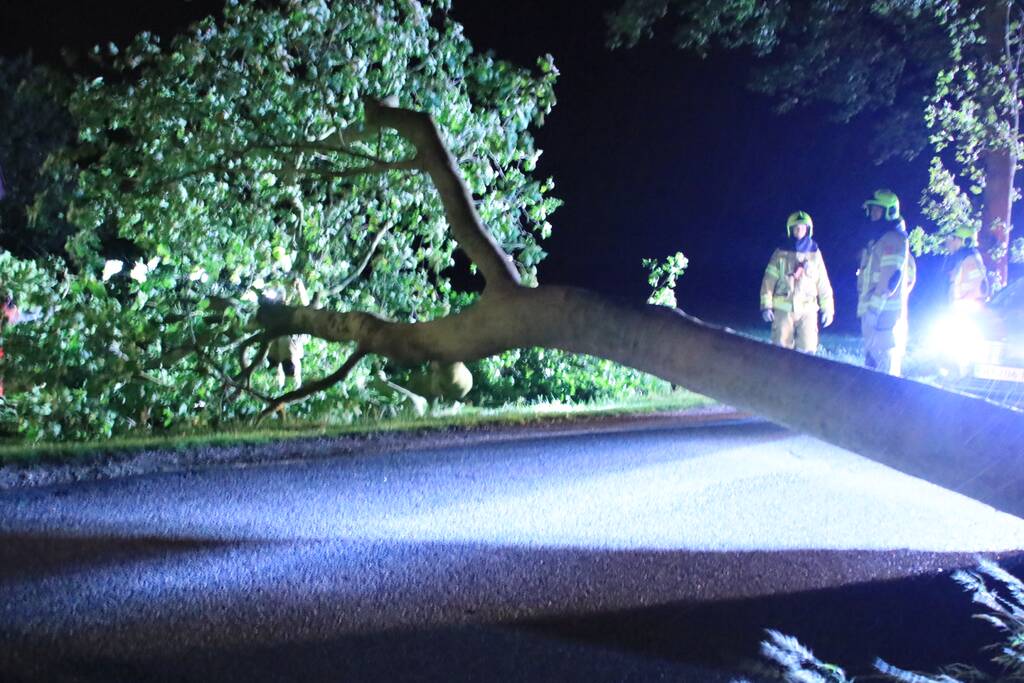 Harde wind blaast flinke boom om