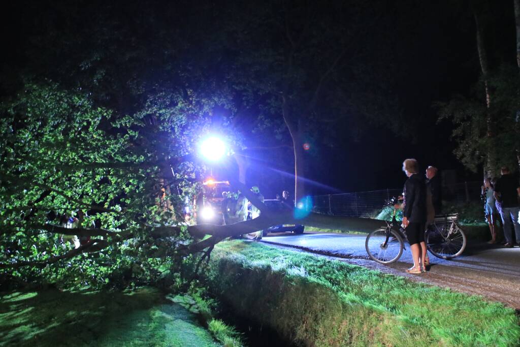 Harde wind blaast flinke boom om