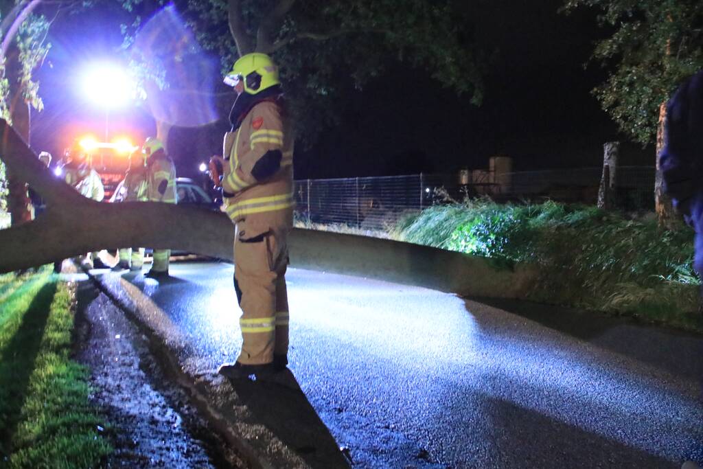 Harde wind blaast flinke boom om