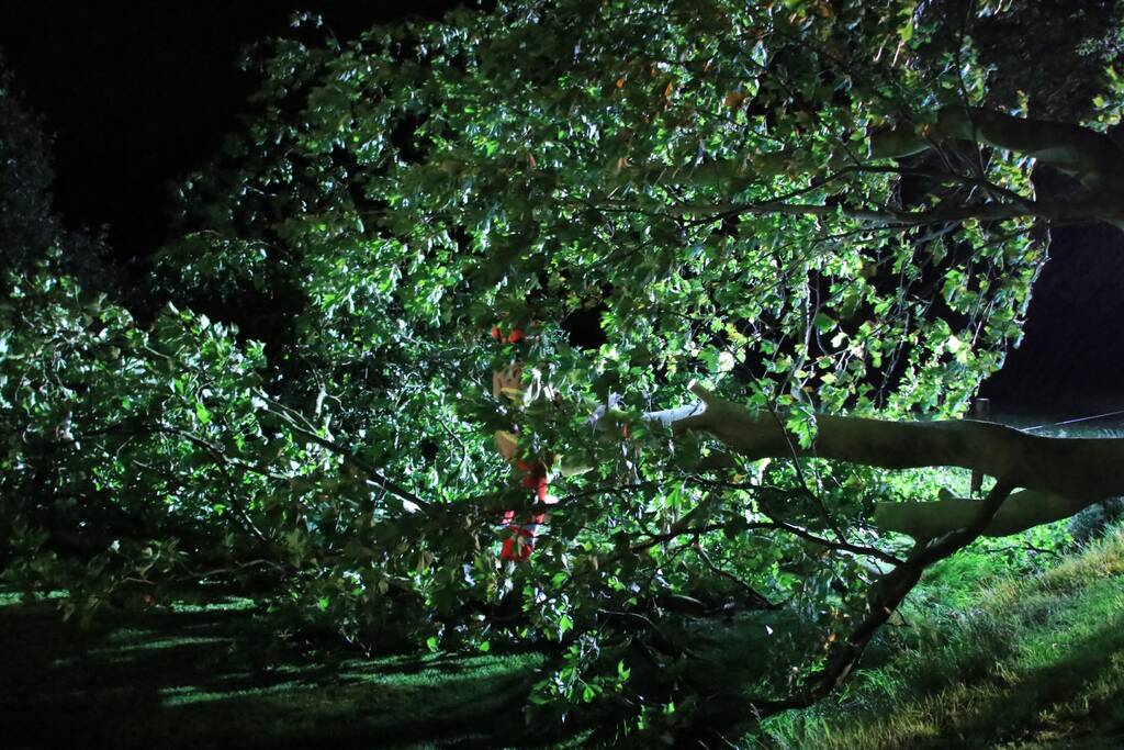 Harde wind blaast flinke boom om