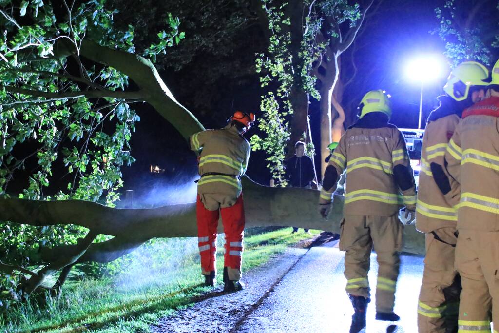 Harde wind blaast flinke boom om