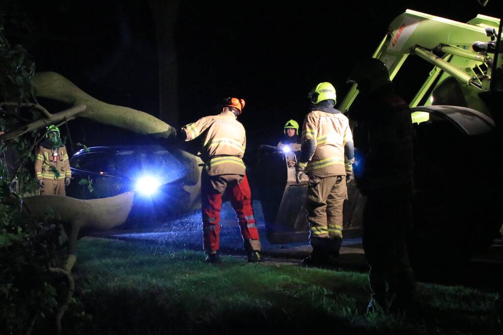Harde wind blaast flinke boom om