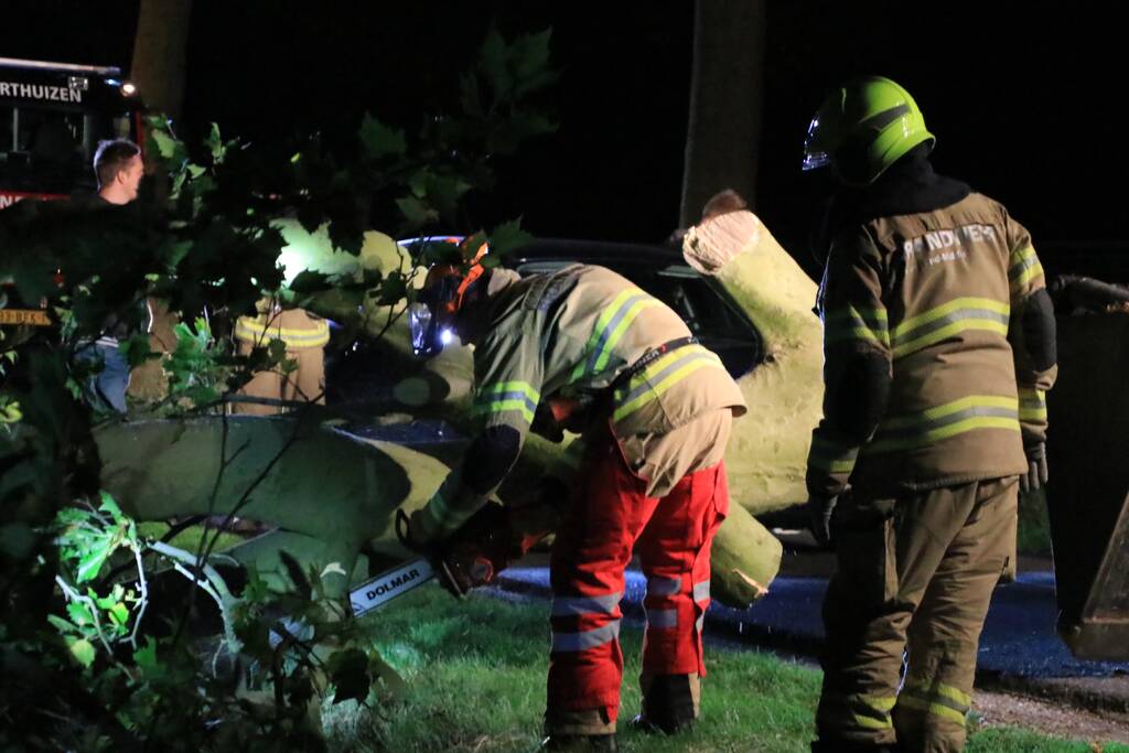 Harde wind blaast flinke boom om
