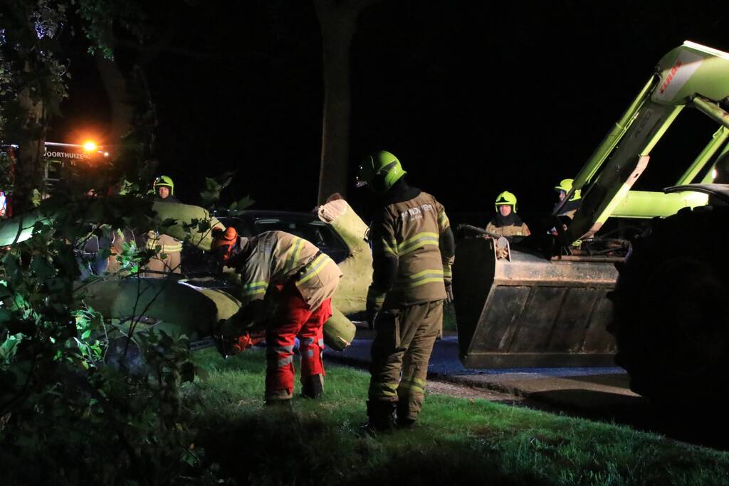 Harde wind blaast flinke boom om