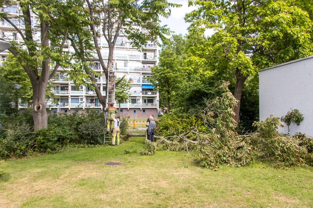 Fietspad afgesloten door gevaarlijk hangende boom