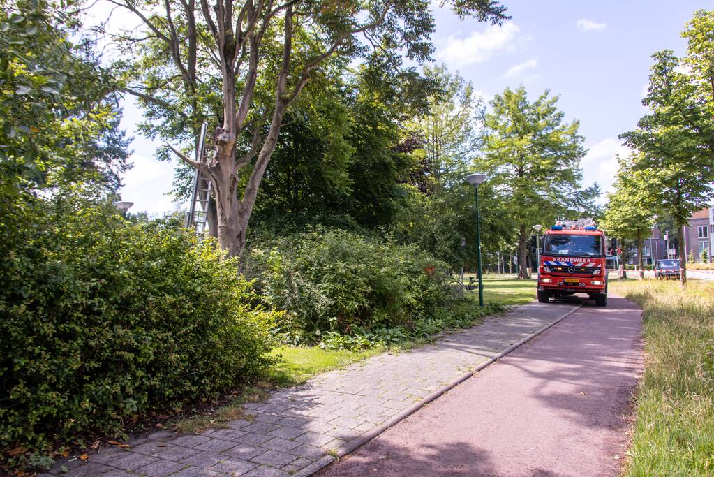Fietspad afgesloten door gevaarlijk hangende boom