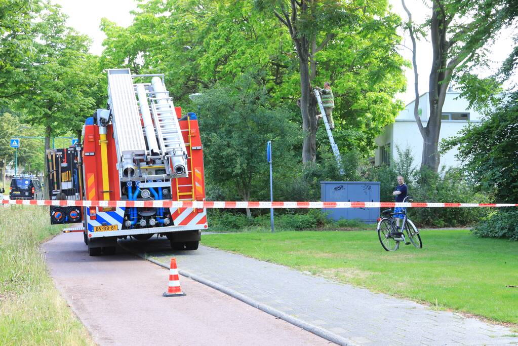 Fietspad afgesloten door gevaarlijk hangende boom