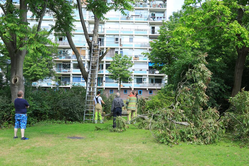 Fietspad afgesloten door gevaarlijk hangende boom