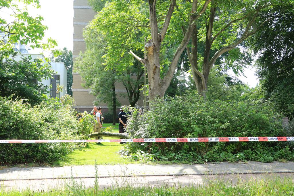 Fietspad afgesloten door gevaarlijk hangende boom