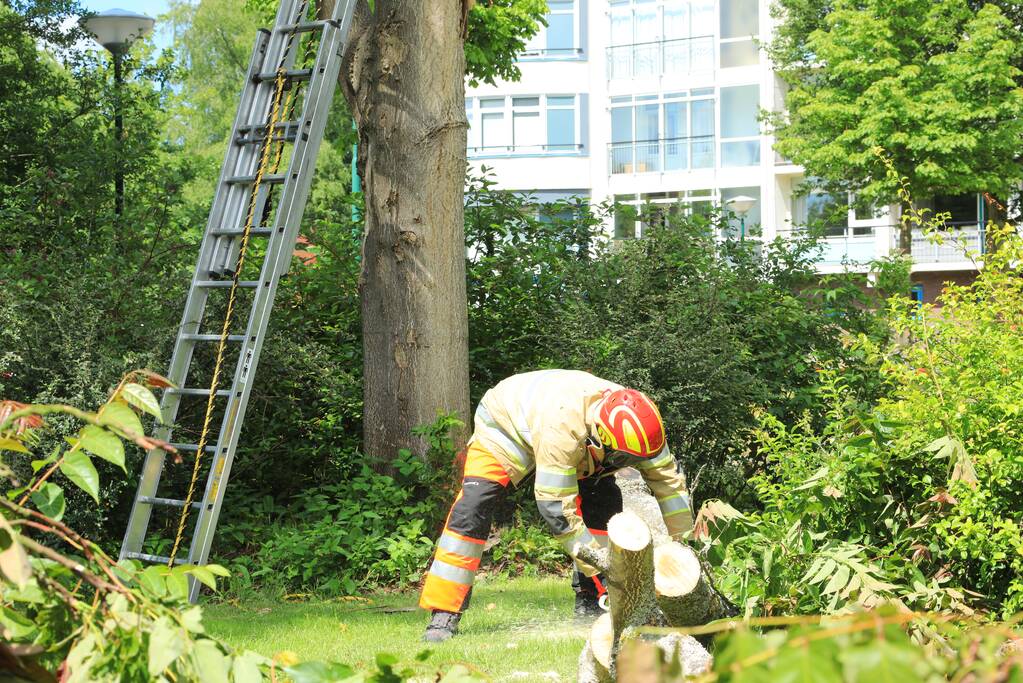 Fietspad afgesloten door gevaarlijk hangende boom