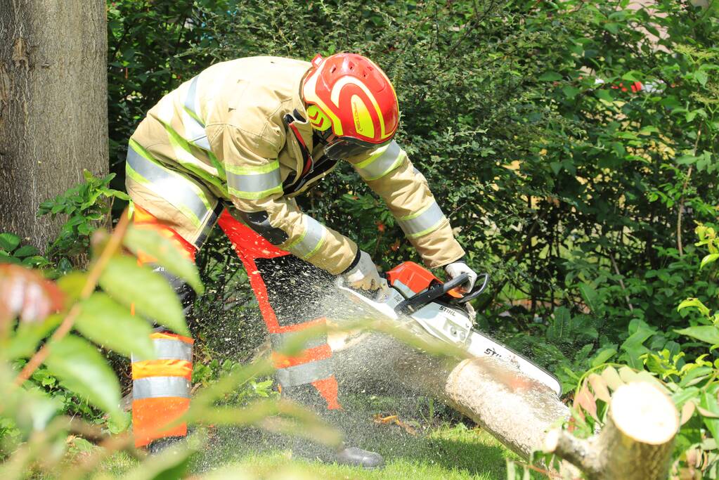 Fietspad afgesloten door gevaarlijk hangende boom