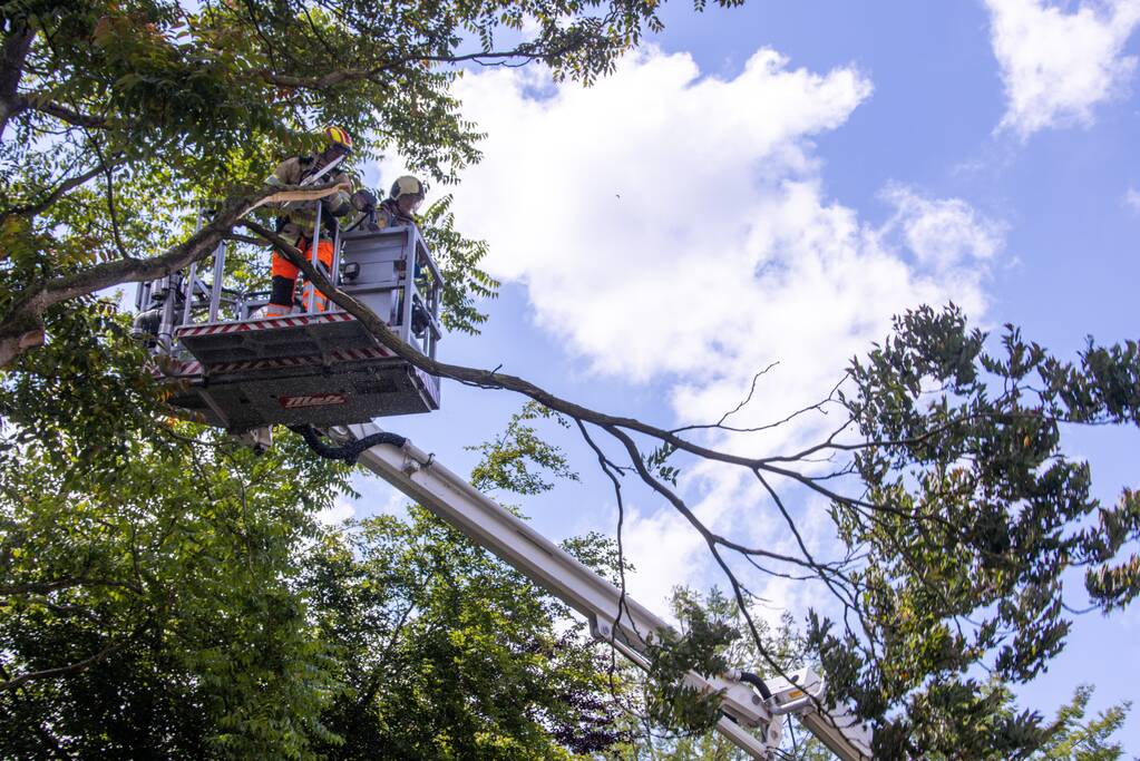 Fietspad afgesloten door gevaarlijk hangende boom