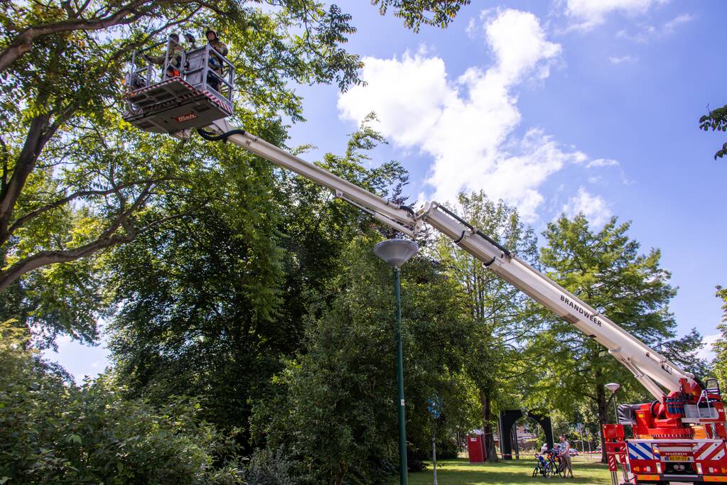 Fietspad afgesloten door gevaarlijk hangende boom