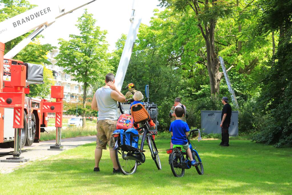 Fietspad afgesloten door gevaarlijk hangende boom