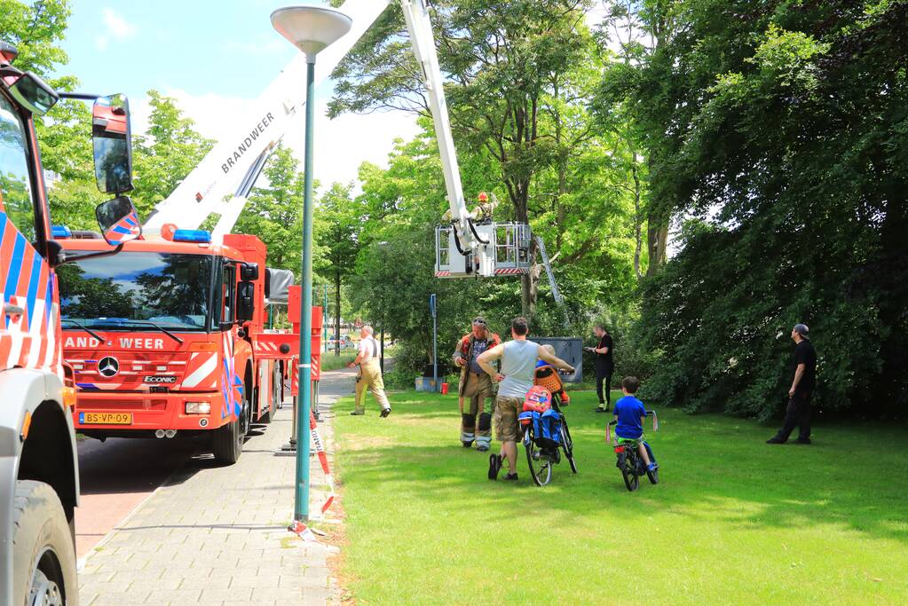Fietspad afgesloten door gevaarlijk hangende boom