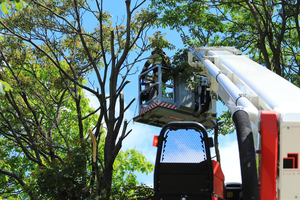 Fietspad afgesloten door gevaarlijk hangende boom