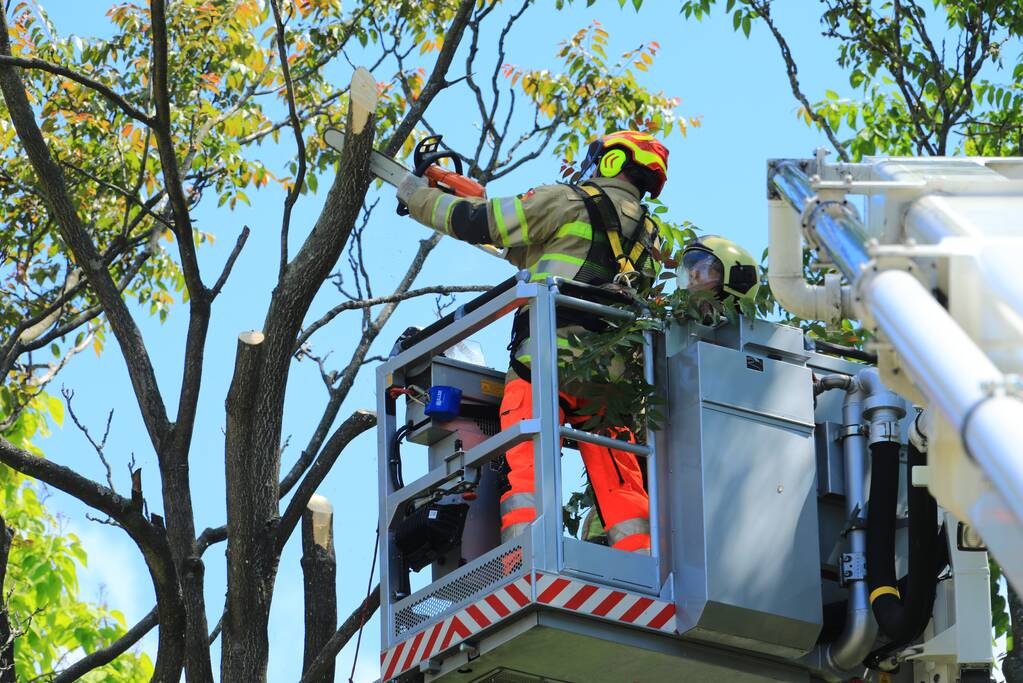 Fietspad afgesloten door gevaarlijk hangende boom