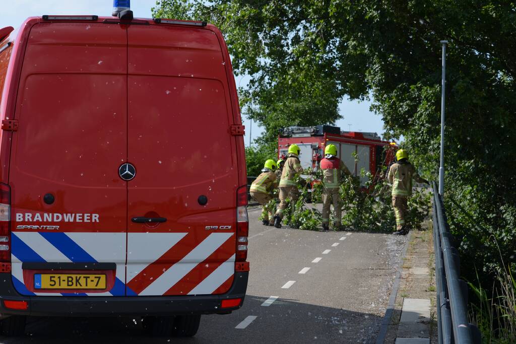 Gevaarlijke loshangende tak verwijderd door brandweer