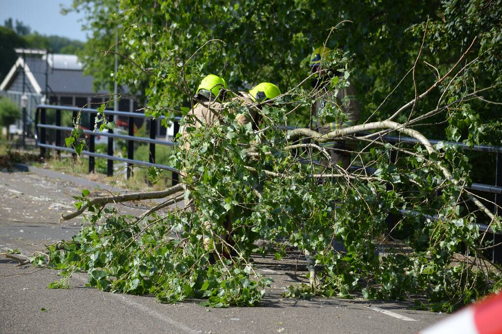 Gevaarlijke loshangende tak verwijderd door brandweer