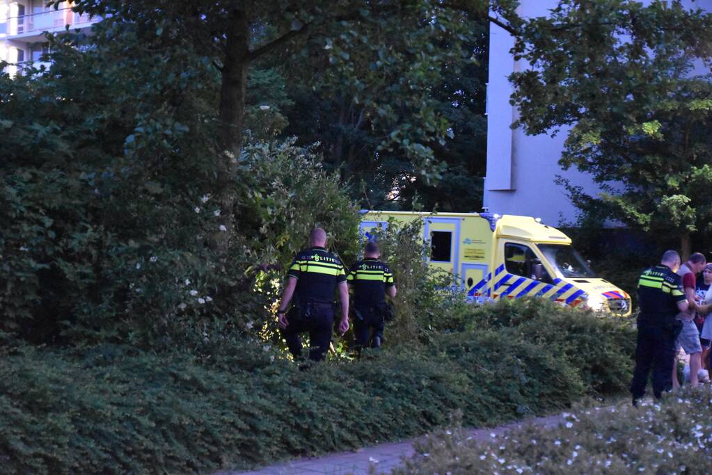 Auto in bosjes geparkeerd bij verwisselen rem en gaspedaal