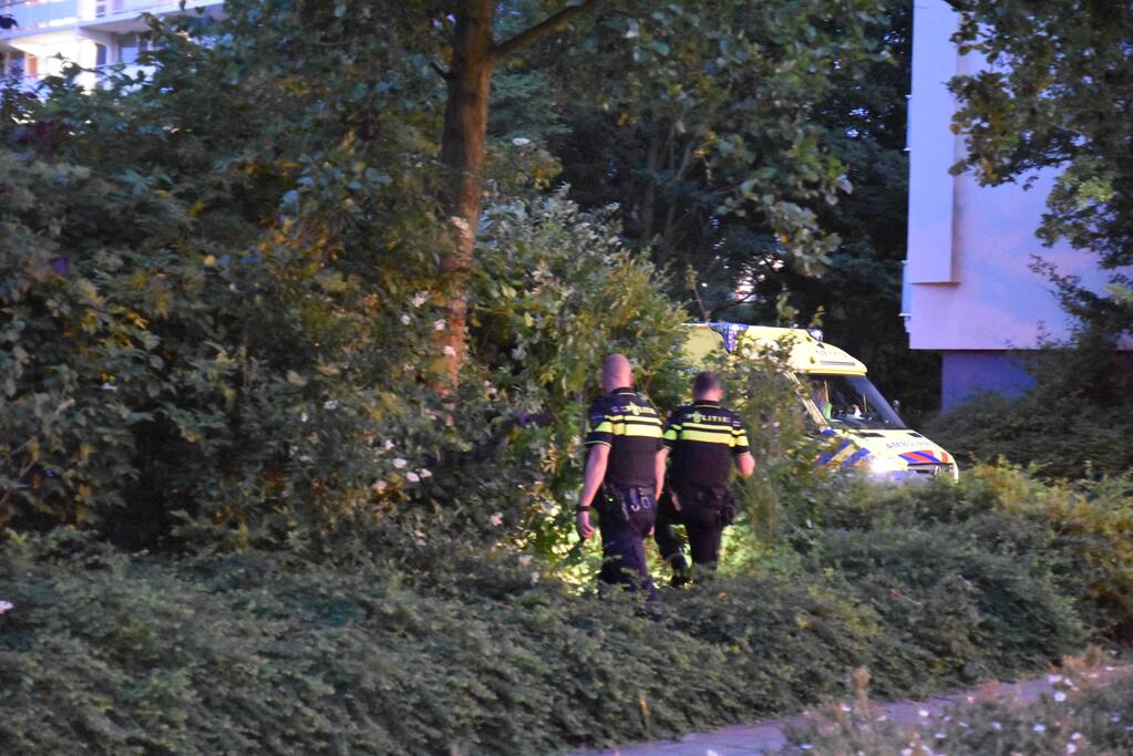 Auto in bosjes geparkeerd bij verwisselen rem en gaspedaal