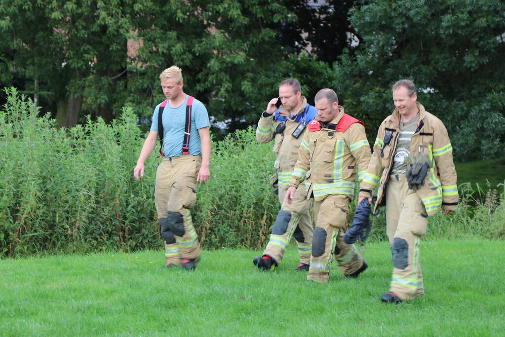 Kudde koeien op de loop