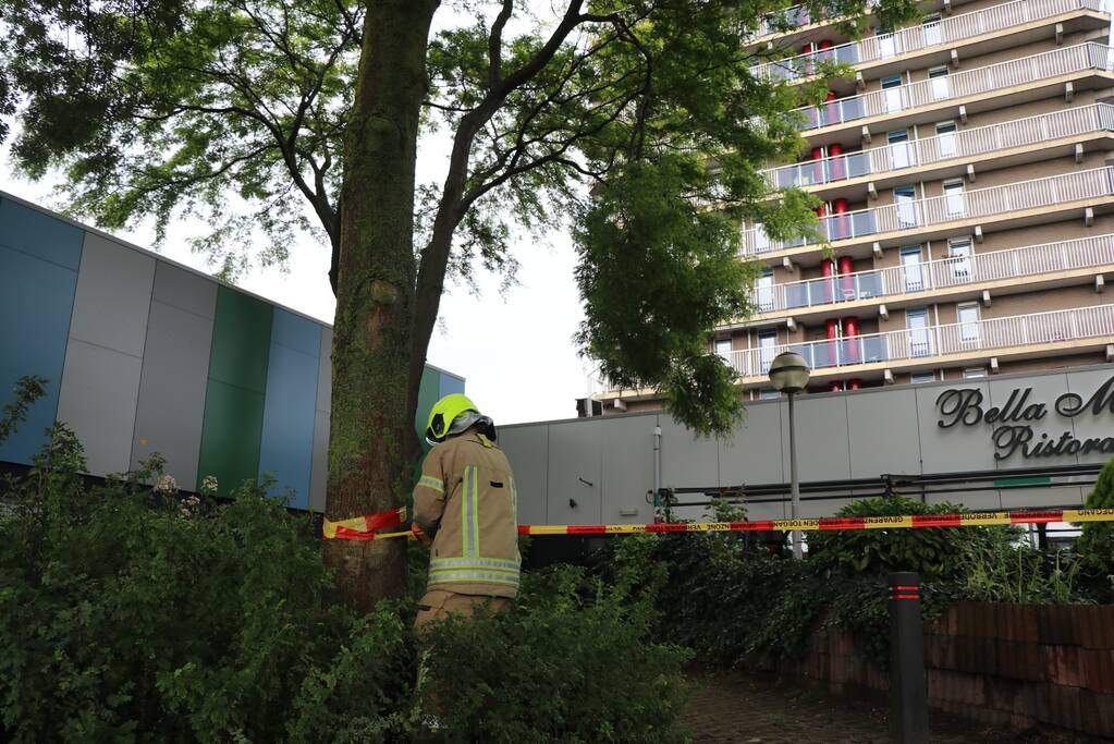 Grote tak dreigt af te breken