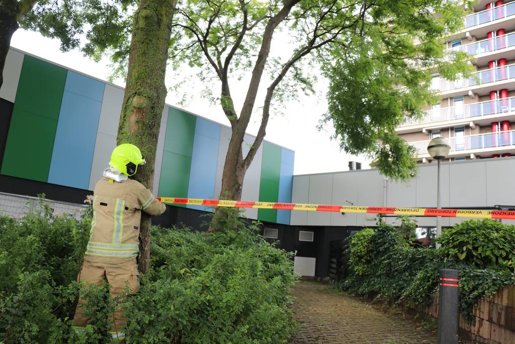 Grote tak dreigt af te breken