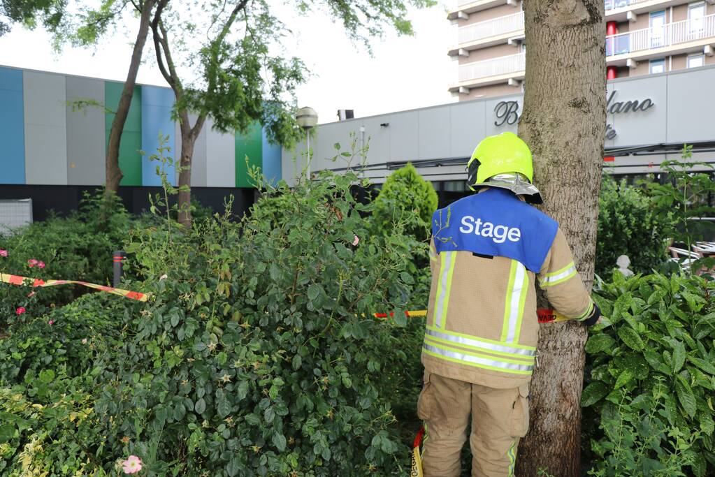 Grote tak dreigt af te breken