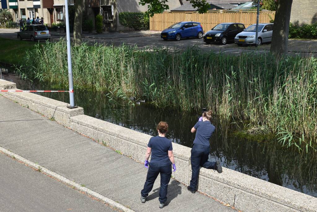 Te water geraakte persoon overleden in Prins Alexander