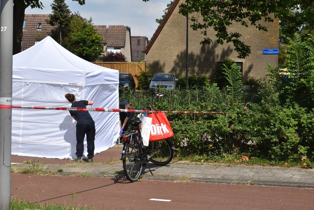 Te water geraakte persoon overleden in Prins Alexander