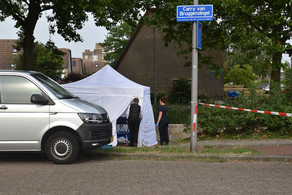 Te water geraakte persoon overleden in Prins Alexander