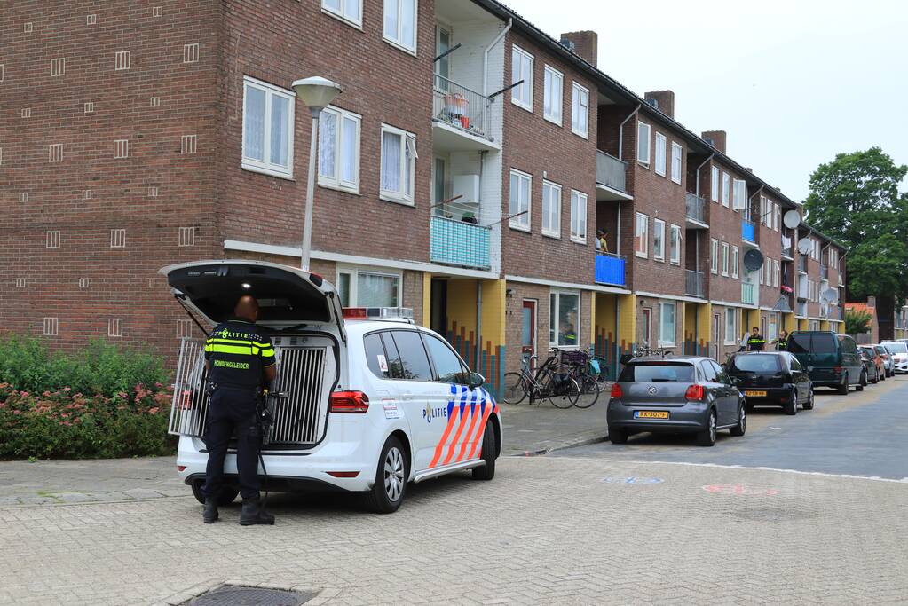 Zwaargewonde bij ernstig steekincident