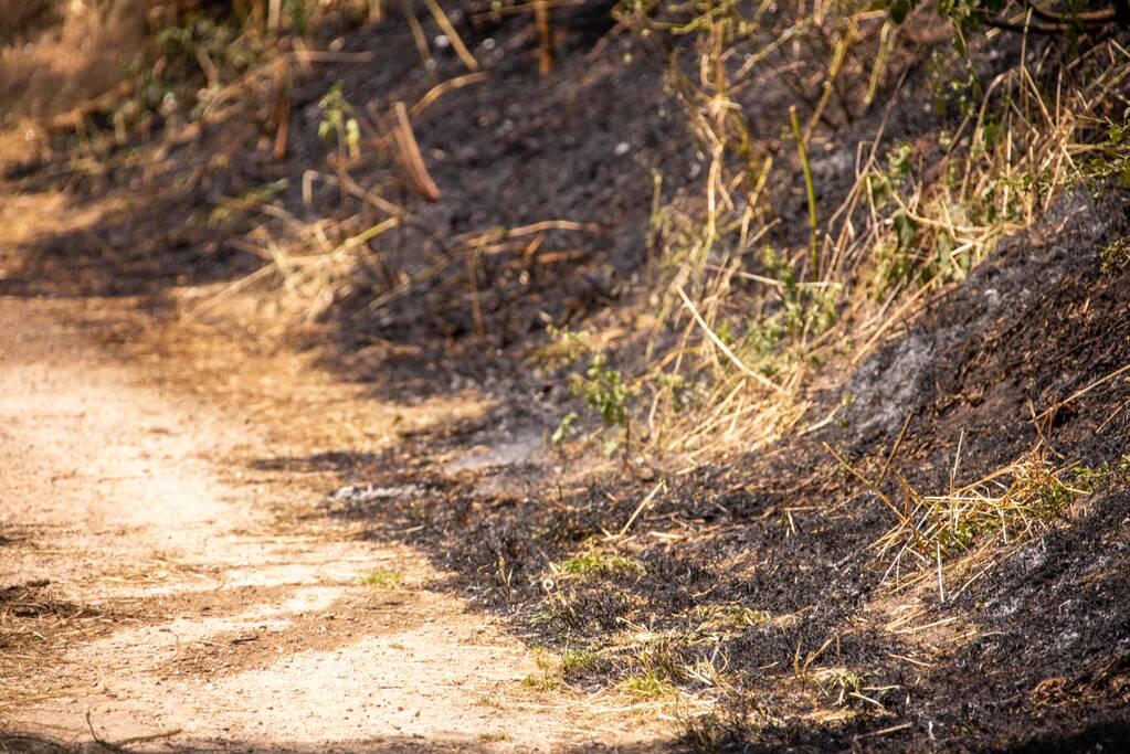 Omwonenden blussen brand met tuinslang