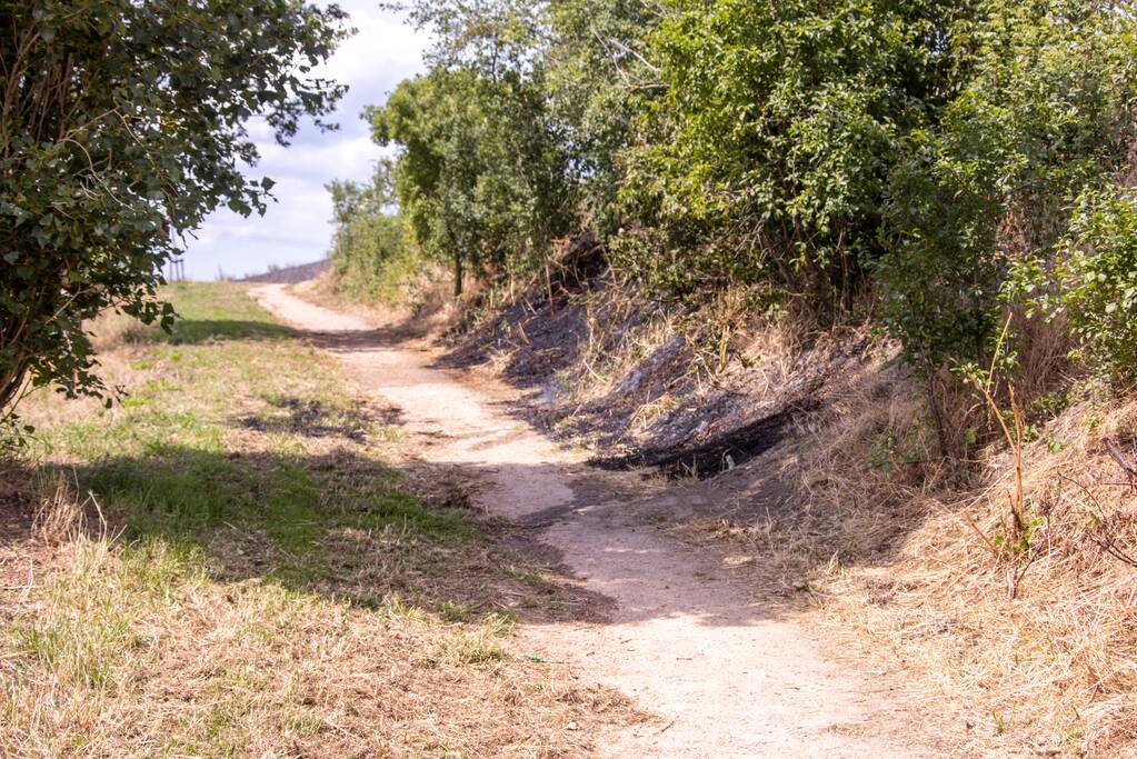 Omwonenden blussen brand met tuinslang