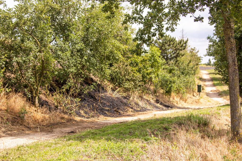 Omwonenden blussen brand met tuinslang