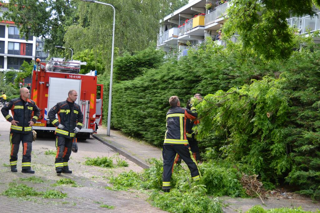Gevaarlijk hangende tak verwijderd