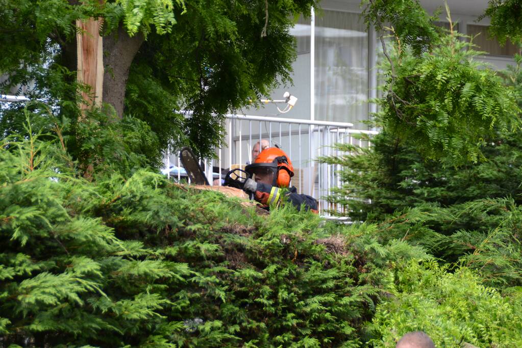 Gevaarlijk hangende tak verwijderd