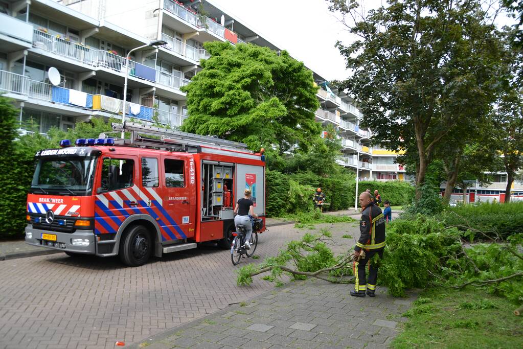 Gevaarlijk hangende tak verwijderd