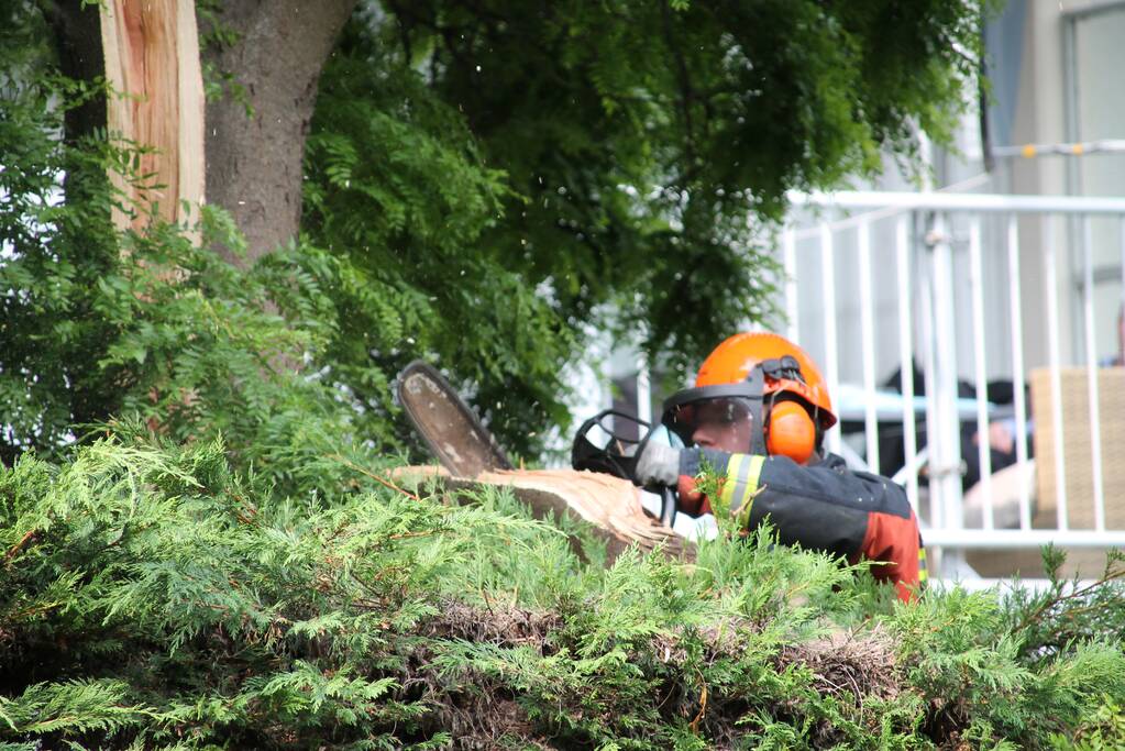 Gevaarlijk hangende tak verwijderd